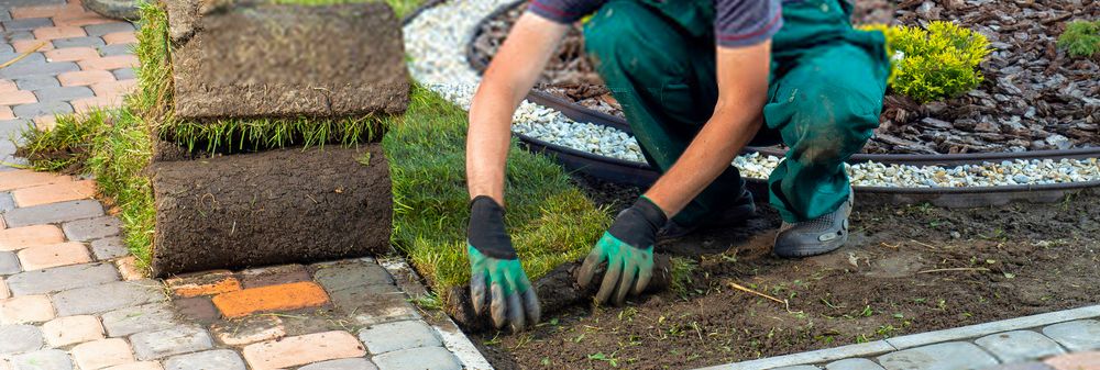 alpharetta-sod-installers