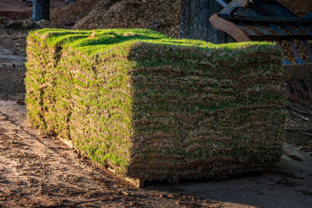 atlanta-sod-installation-prices